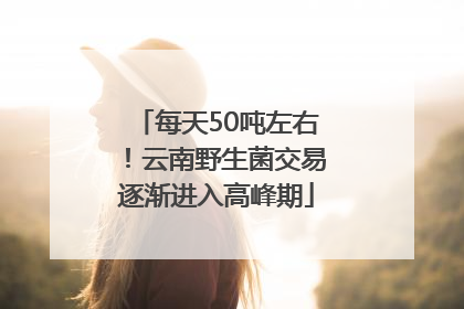 每天50吨左右！云南野生菌交易逐渐进入高峰期