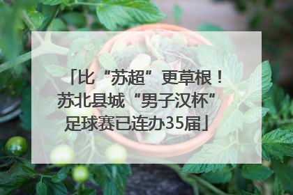比“苏超”更草根！苏北县城“男子汉杯”足球赛已连办35届