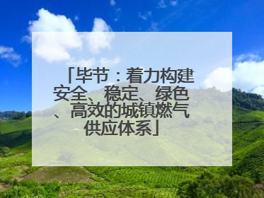 毕节：着力构建安全、稳定、绿色、高效的城镇燃气供应体系