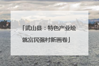武山县：特色产业绘就富民强村新画卷