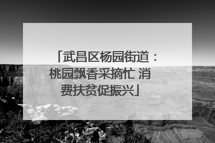 武昌区杨园街道：桃园飘香采摘忙 消费扶贫促振兴