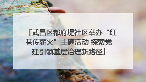 武昌区都府堤社区举办“红巷传薪火”主题活动 探索党建引领基层治理新路径