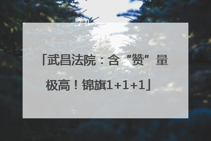 武昌法院：含“赞”量极高！锦旗1+1+1