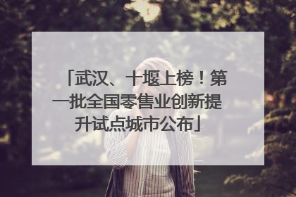 武汉、十堰上榜！第一批全国零售业创新提升试点城市公布