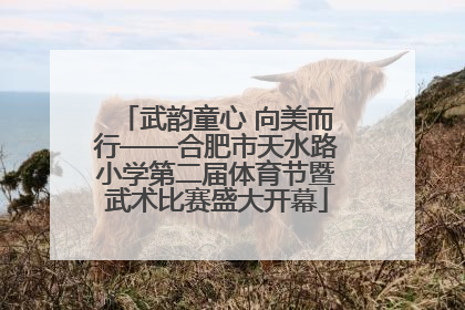 武韵童心 向美而行——合肥市天水路小学第二届体育节暨武术比赛盛大开幕