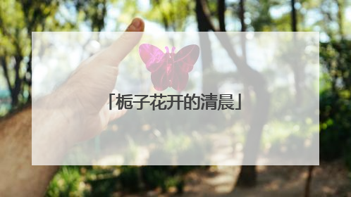 栀子花开的清晨