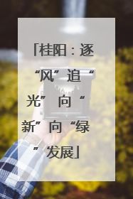 桂阳：逐“风”追“光” 向“新”向“绿”发展