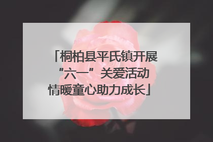 桐柏县平氏镇开展“六一”关爱活动 情暖童心助力成长
