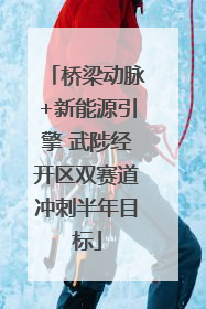 桥梁动脉+新能源引擎 武陟经开区双赛道冲刺半年目标