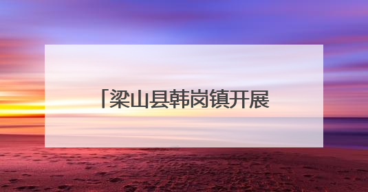 梁山县韩岗镇开展移风易俗宣传活动
