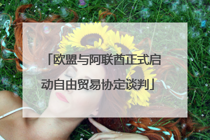 欧盟与阿联酋正式启动自由贸易协定谈判