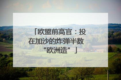 欧盟前高官：投在加沙的炸弹半数“欧洲造”
