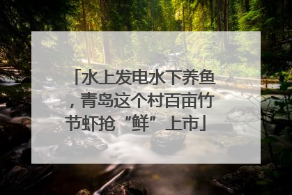 水上发电水下养鱼，青岛这个村百亩竹节虾抢“鲜”上市