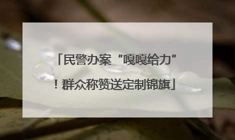 民警办案“嘎嘎给力”！群众称赞送定制锦旗