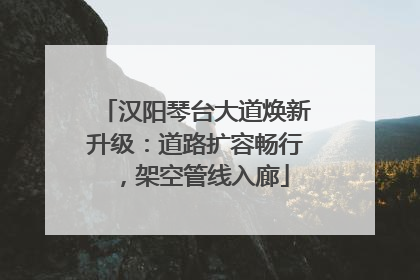 汉阳琴台大道焕新升级：道路扩容畅行，架空管线入廊