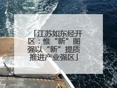 江苏如东经开区：惟“新”图强以“新”提质推进产业强区