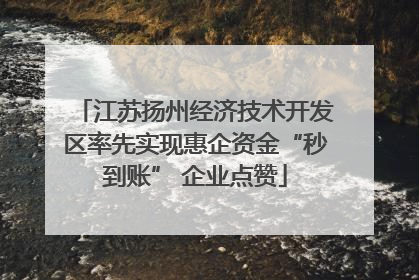 江苏扬州经济技术开发区率先实现惠企资金“秒到账” 企业点赞