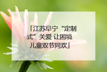 江苏阜宁“定制式”关爱 让困境儿童双节同欢