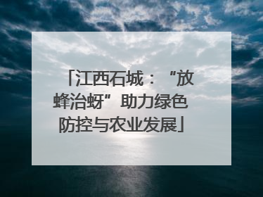 江西石城：“放蜂治蚜”助力绿色防控与农业发展