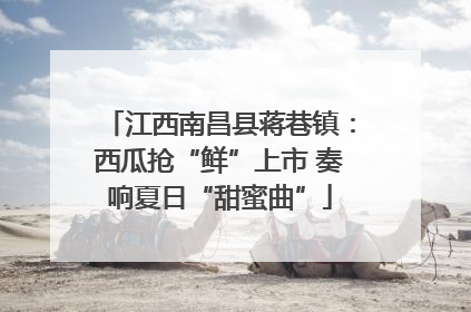 江西南昌县蒋巷镇：西瓜抢“鲜”上市 奏响夏日“甜蜜曲”