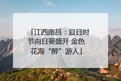 江西南昌：夏日时节向日葵盛开 金色花海“醉”游人