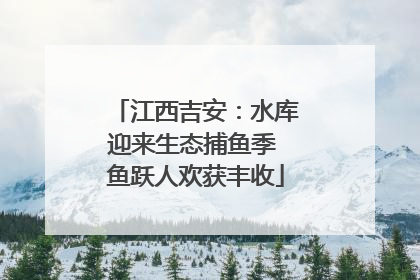 江西吉安：水库迎来生态捕鱼季 鱼跃人欢获丰收