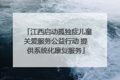 江西启动孤独症儿童关爱服务公益行动 提供系统化康复服务