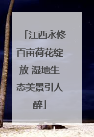 江西永修百亩荷花绽放 湿地生态美景引人醉