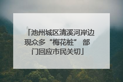 池州城区清溪河岸边现众多“梅花桩” 部门回应市民关切