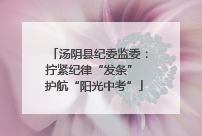 汤阴县纪委监委：拧紧纪律“发条” 护航“阳光中考”