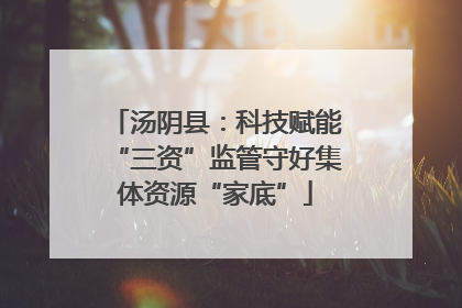 汤阴县：科技赋能“三资”监管守好集体资源“家底”