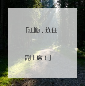 汪顺，连任副主席！
