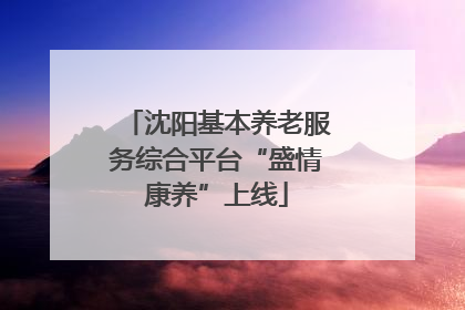 沈阳基本养老服务综合平台“盛情康养”上线
