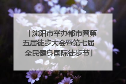 沈阳市举办都市圈第五届徒步大会暨第七届全民健身国际徒步节