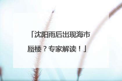 沈阳雨后出现海市蜃楼？专家解读！