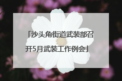 沙头角街道武装部召开5月武装工作例会