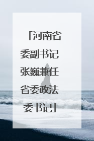 河南省委副书记张巍兼任省委政法委书记