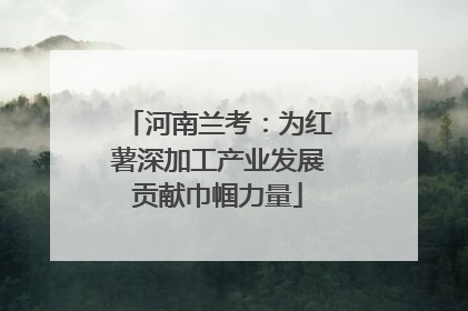 河南兰考：为红薯深加工产业发展贡献巾帼力量
