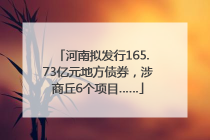 河南拟发行165.73亿元地方债券，涉商丘6个项目……