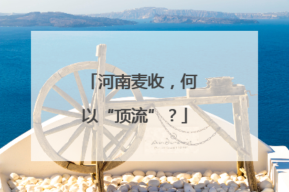 河南麦收，何以“顶流”？