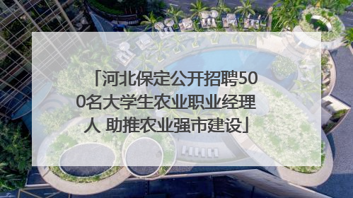 河北保定公开招聘500名大学生农业职业经理人 助推农业强市建设