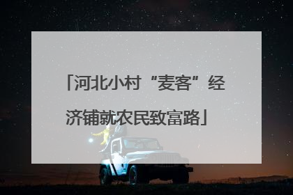 河北小村“麦客”经济铺就农民致富路