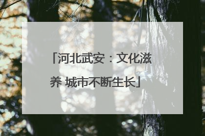 河北武安：文化滋养 城市不断生长