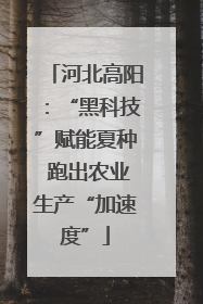 河北高阳：“黑科技”赋能夏种 跑出农业生产“加速度”