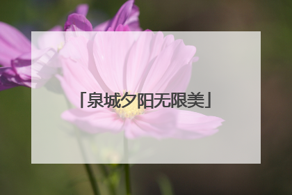 泉城夕阳无限美