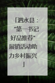 泗水县：“第一书记好品推荐”展销活动助力乡村振兴