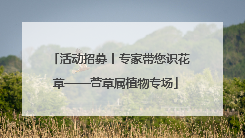 活动招募丨专家带您识花草——萱草属植物专场