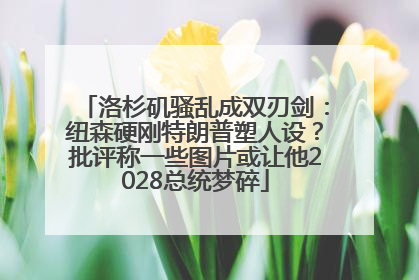 洛杉矶骚乱成双刃剑：纽森硬刚特朗普塑人设？批评称一些图片或让他2028总统梦碎
