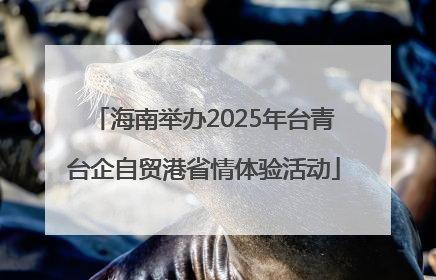 海南举办2025年台青台企自贸港省情体验活动