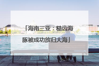 海南三亚：糙齿海豚被成功放归大海